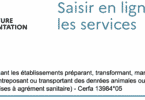 CERFA 13984 - Saisir en ligne