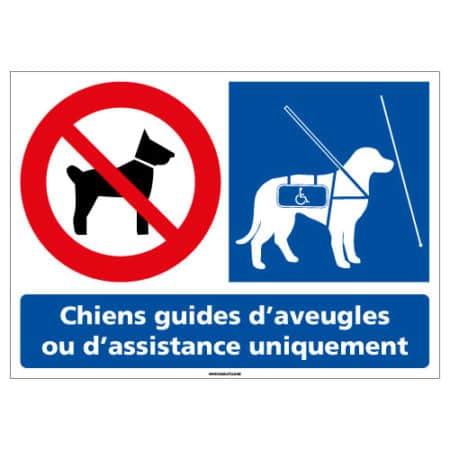 Chien d'assistance dans le restaurant